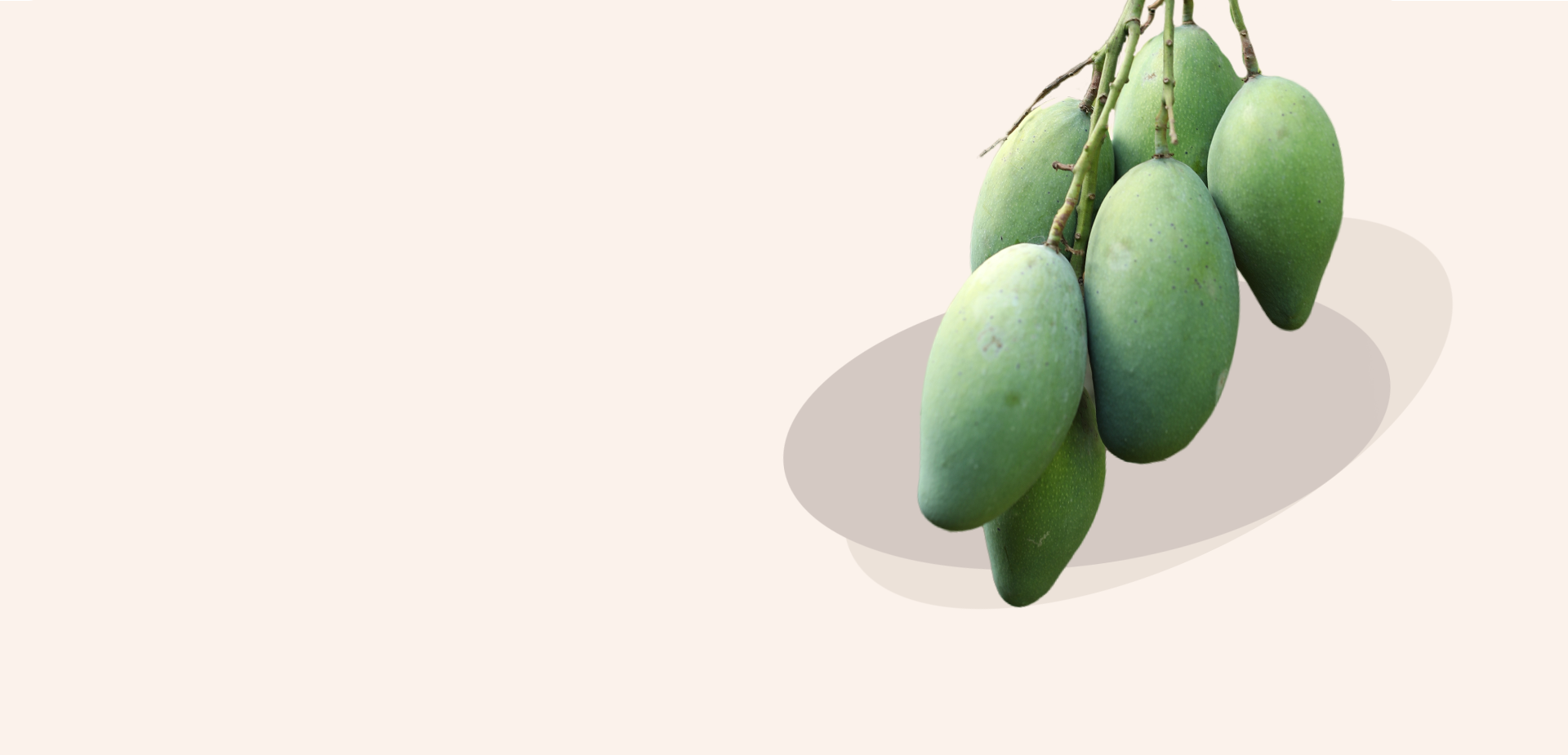 Image Slider