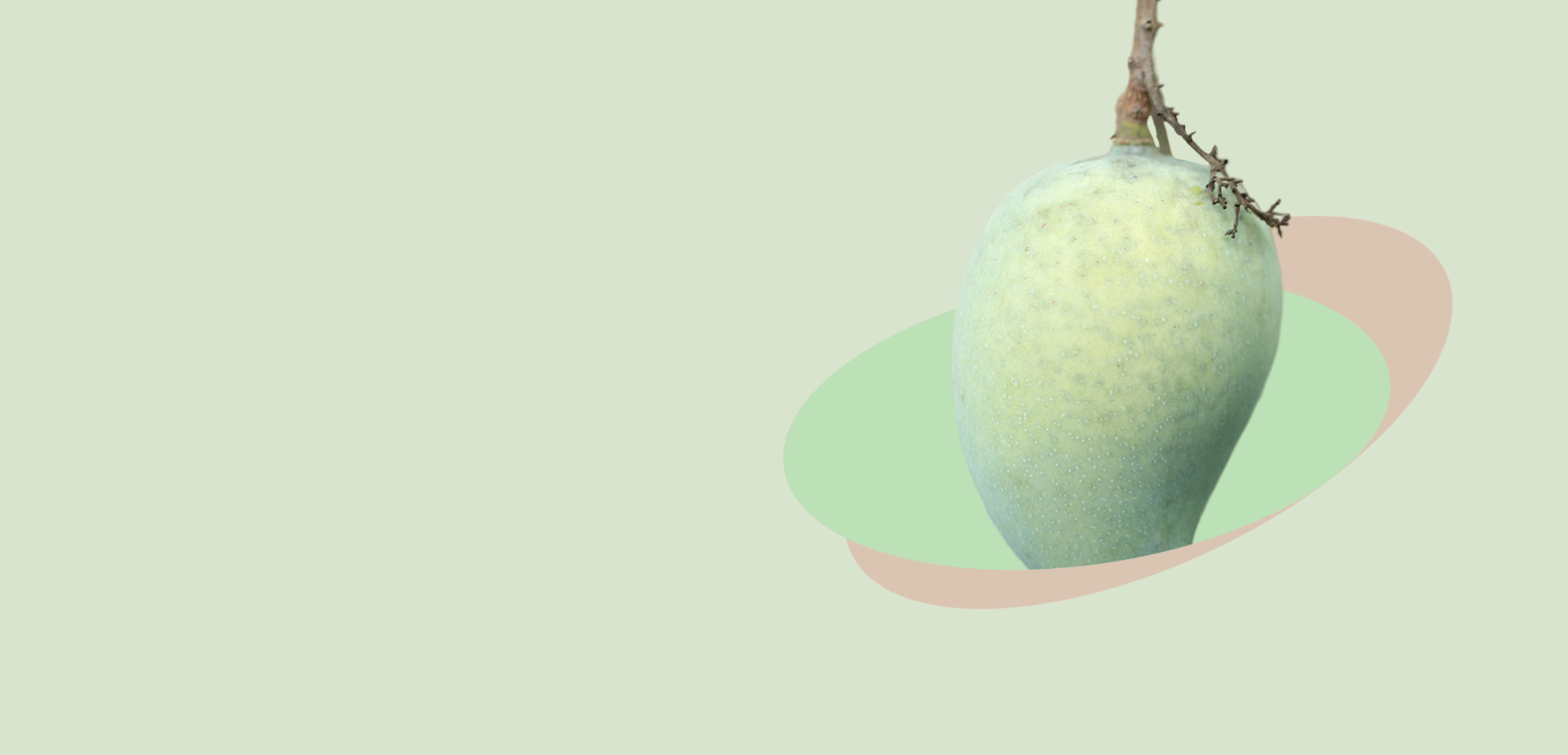 Image Slider