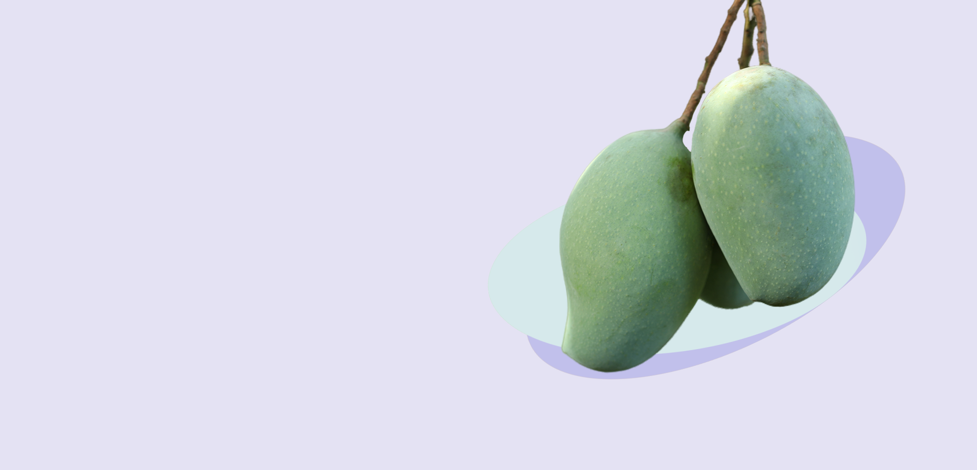 Image Slider